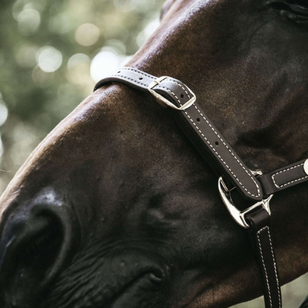 Kentucky Lederhalfter Flexibles Leder Braun