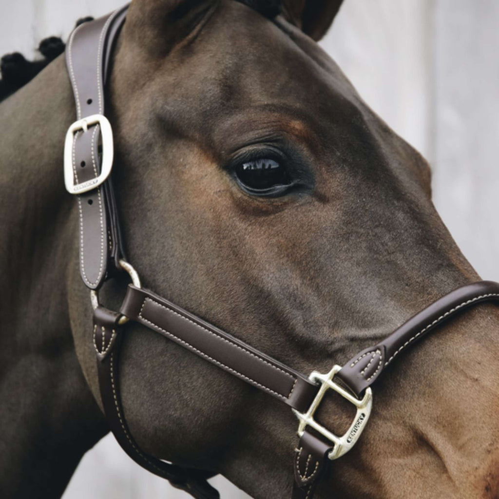 Kentucky Halfter Anatomisches Leder Braun
