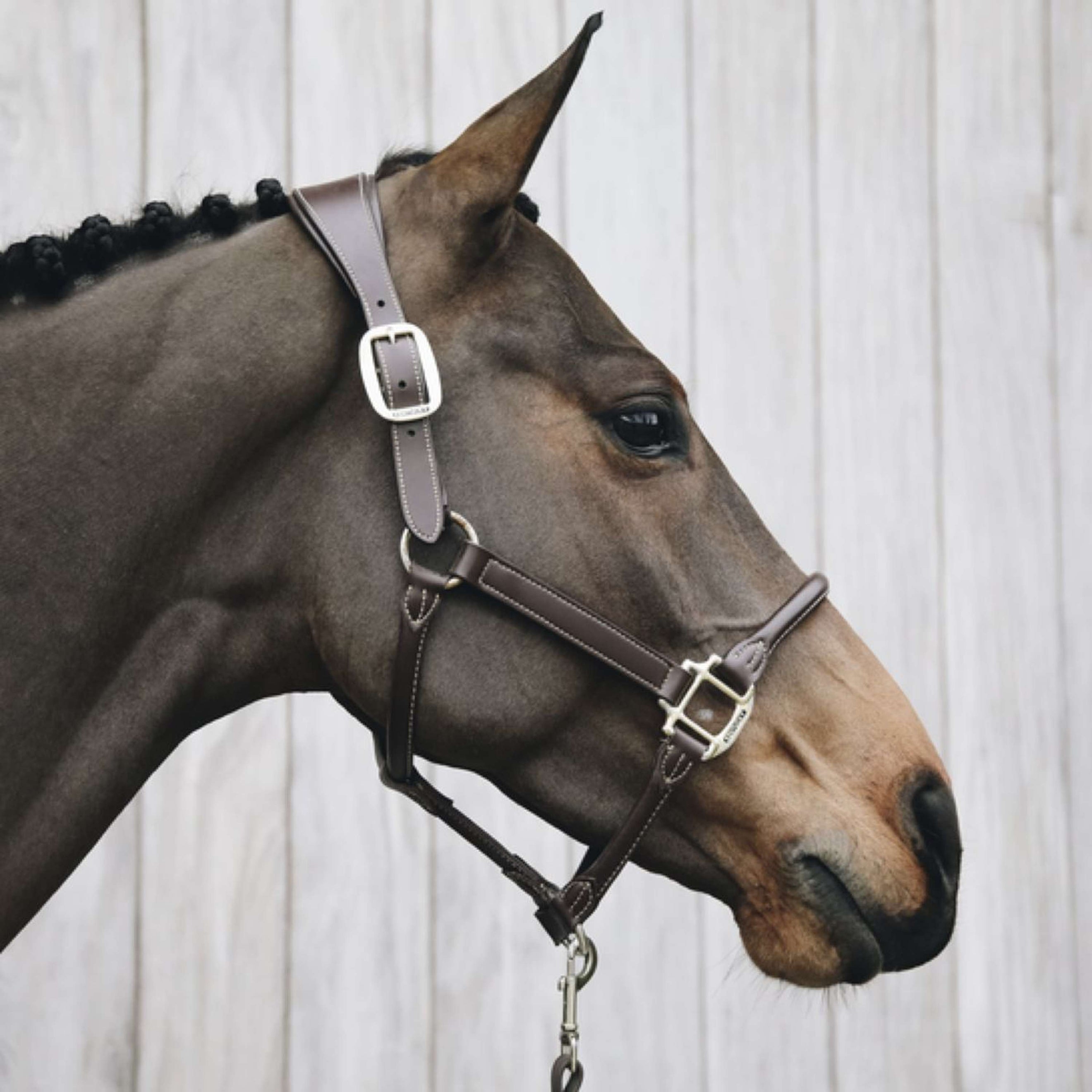 Kentucky Halfter Anatomisches Leder Braun Kentucky Halfter Anatomisches Leder Braun