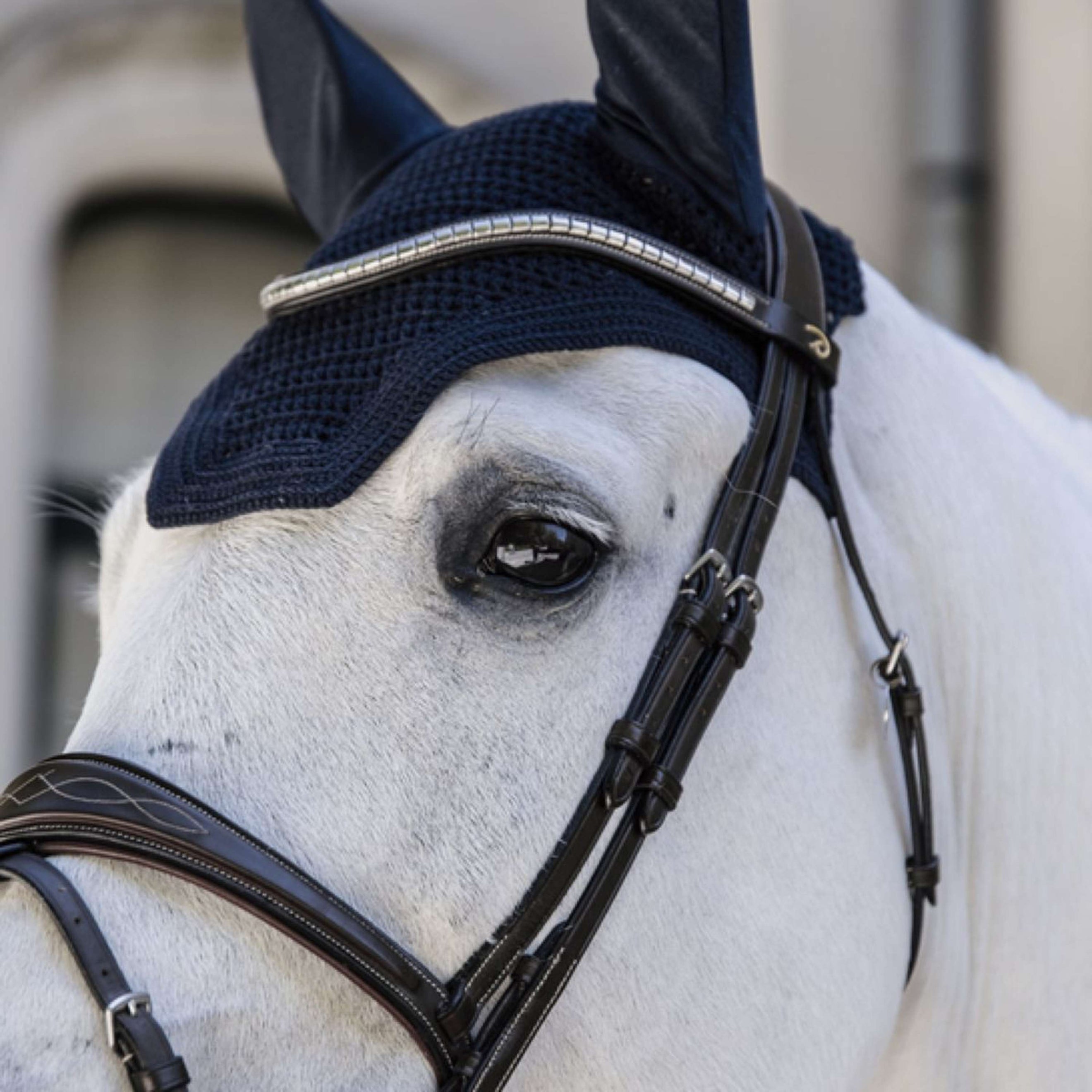 Kentucky Fliegenhaube Wellington Dark Navy Kentucky Fliegenhaube Wellington Dark Navy