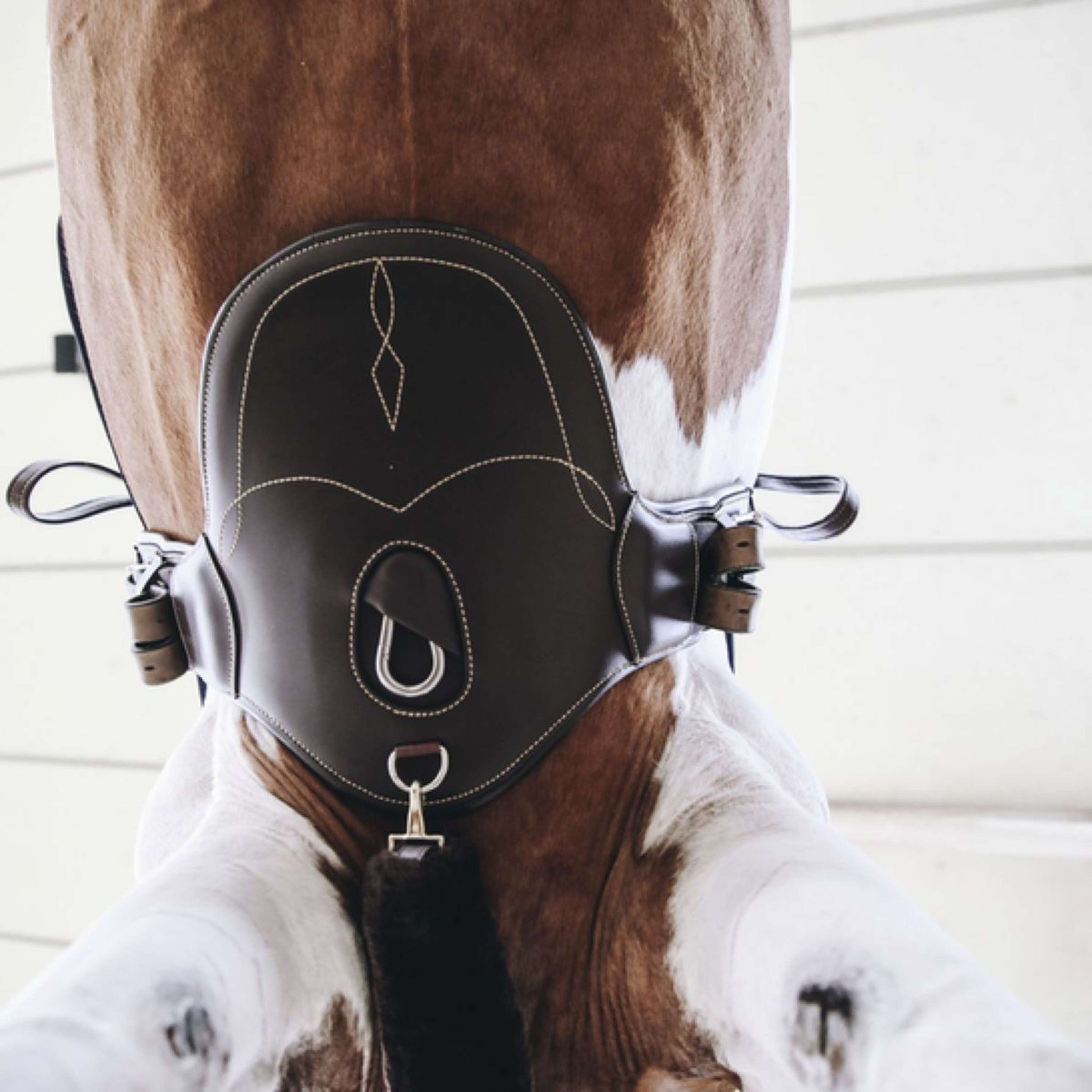 Kentucky Spring Sattelgurt Short Stud Braun Kentucky Spring Sattelgurt Short Stud Braun