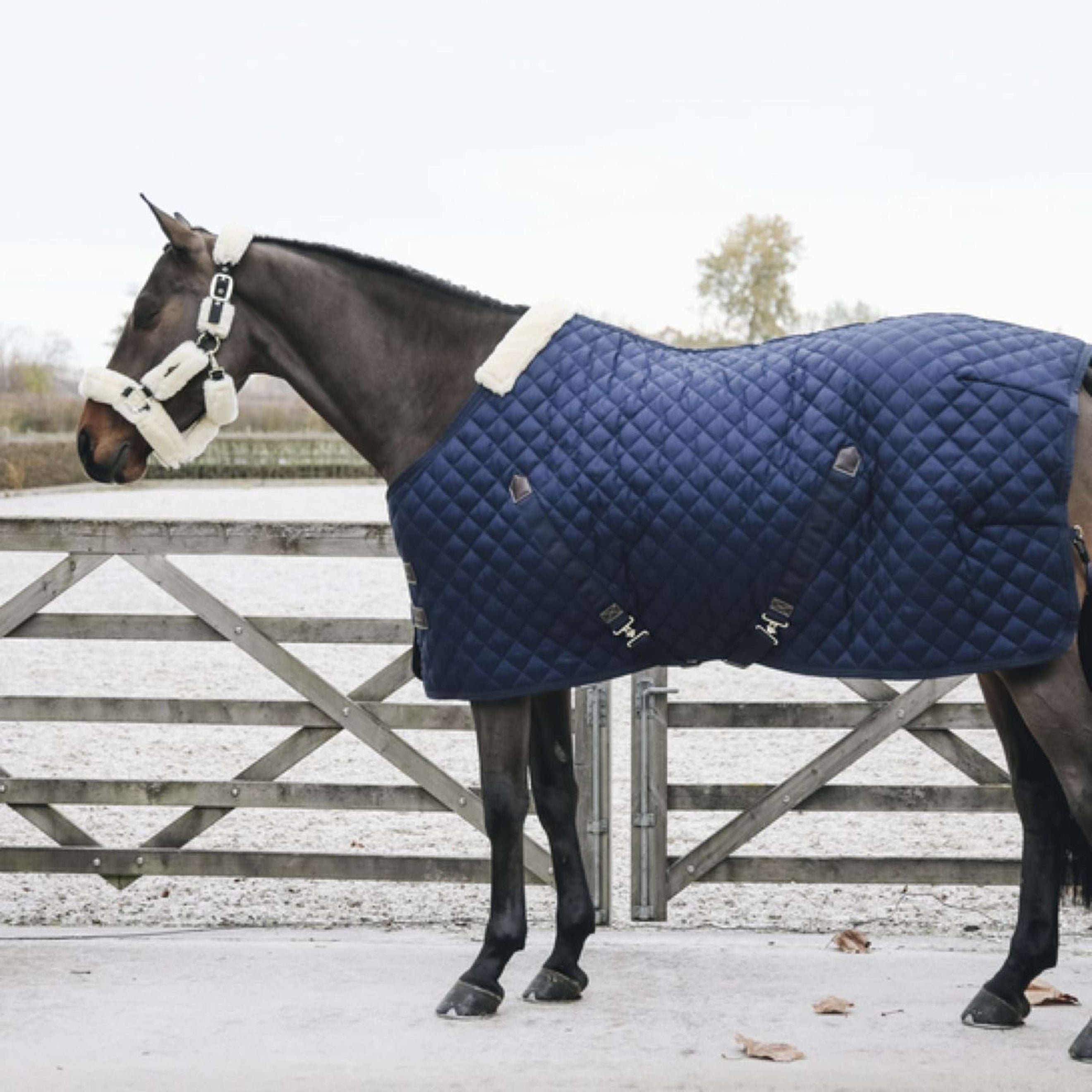 Kentucky Stalldecke 400g Navy Kentucky Stalldecke 400g Navy