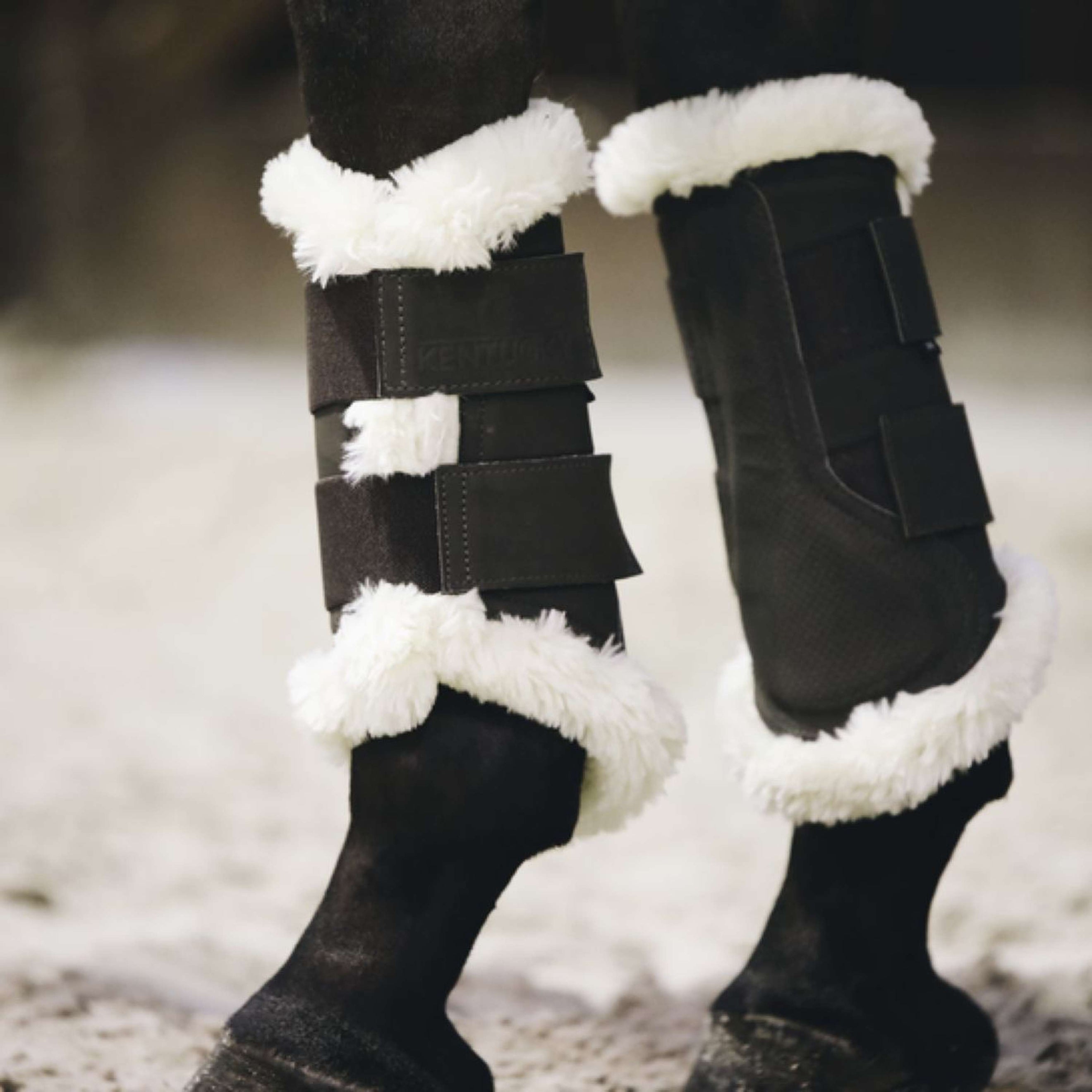 Kentucky Horsewear Turnout Boots Air Braun Kentucky Horsewear Turnout Boots Air Braun