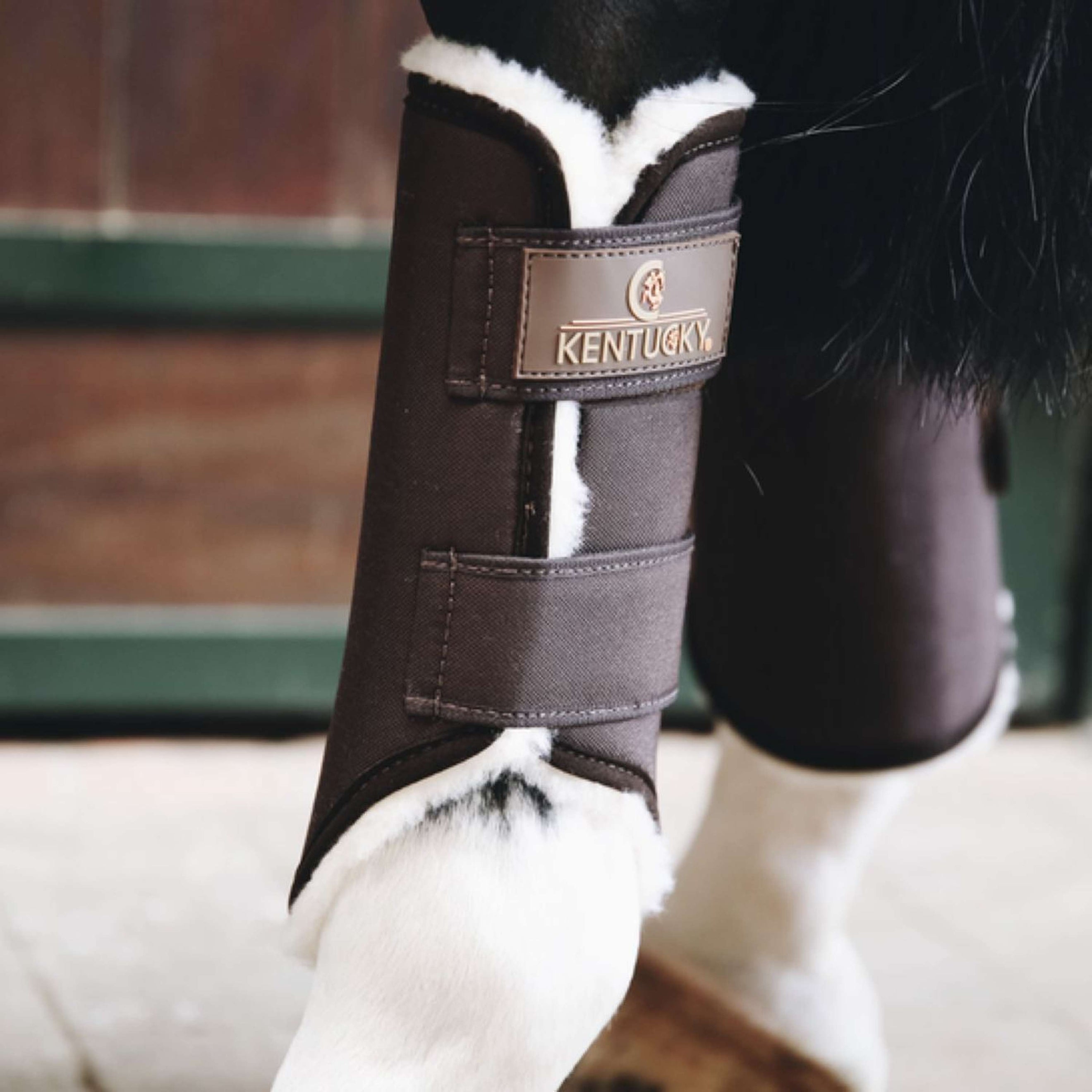 Kentucky Horsewear Turnout Boots Solimbra Vorderbeine Braun Kentucky Horsewear Turnout Boots Solimbra Vorderbeine Braun