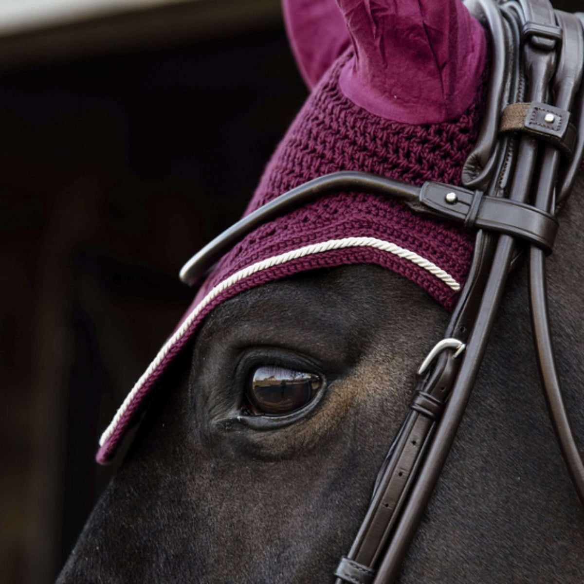 Kentucky Fliegenhaube Wellington Velvet Bordeaux