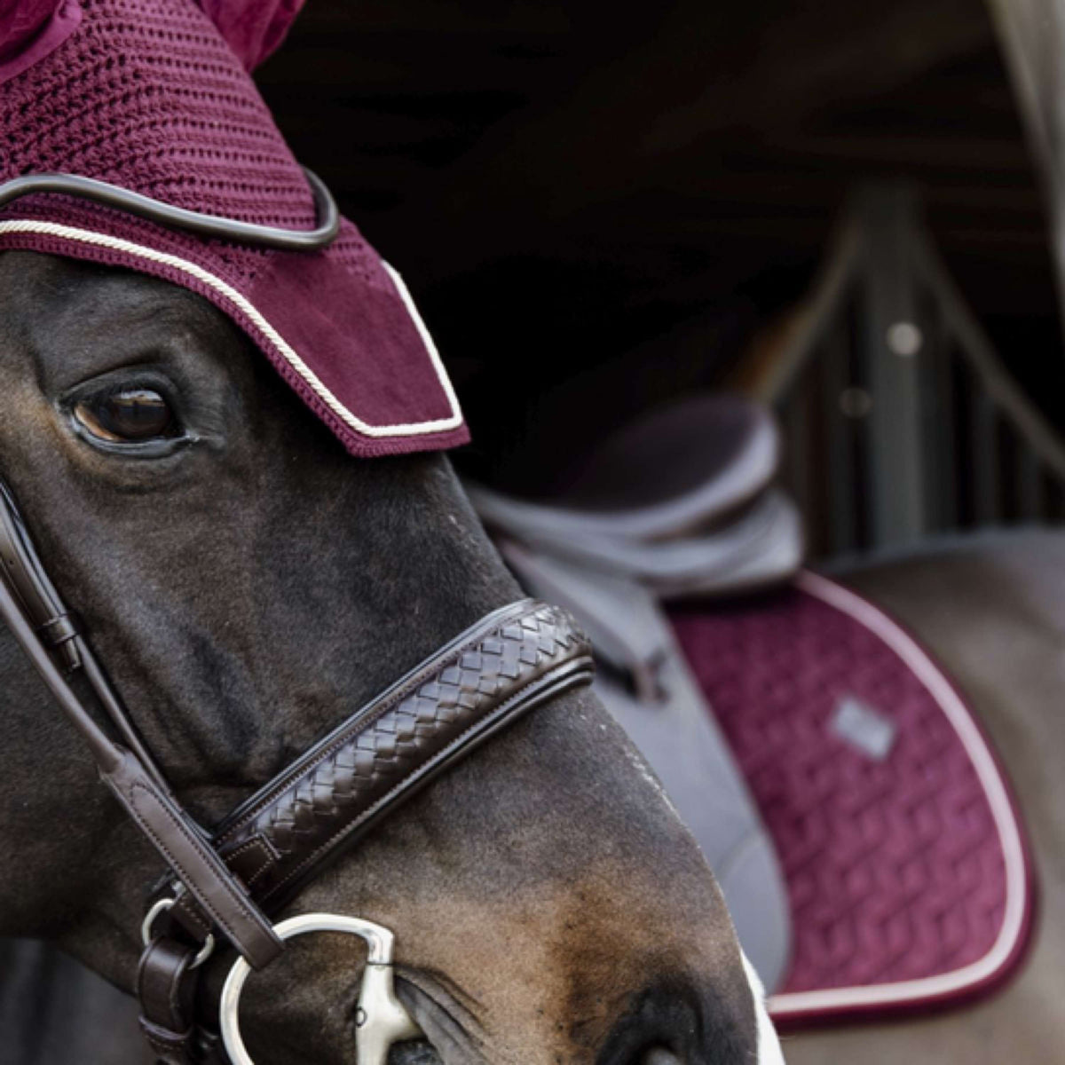 Kentucky Fliegenhaube Wellington Velvet Bordeaux