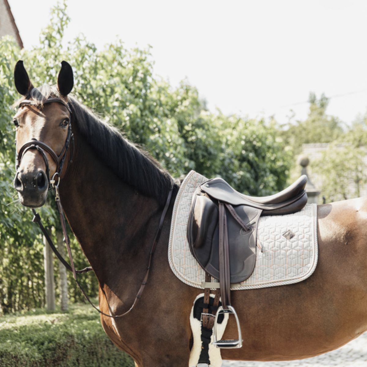 Kentucky Horsewear Schabracke Pied-de-Poule Dressur Beige