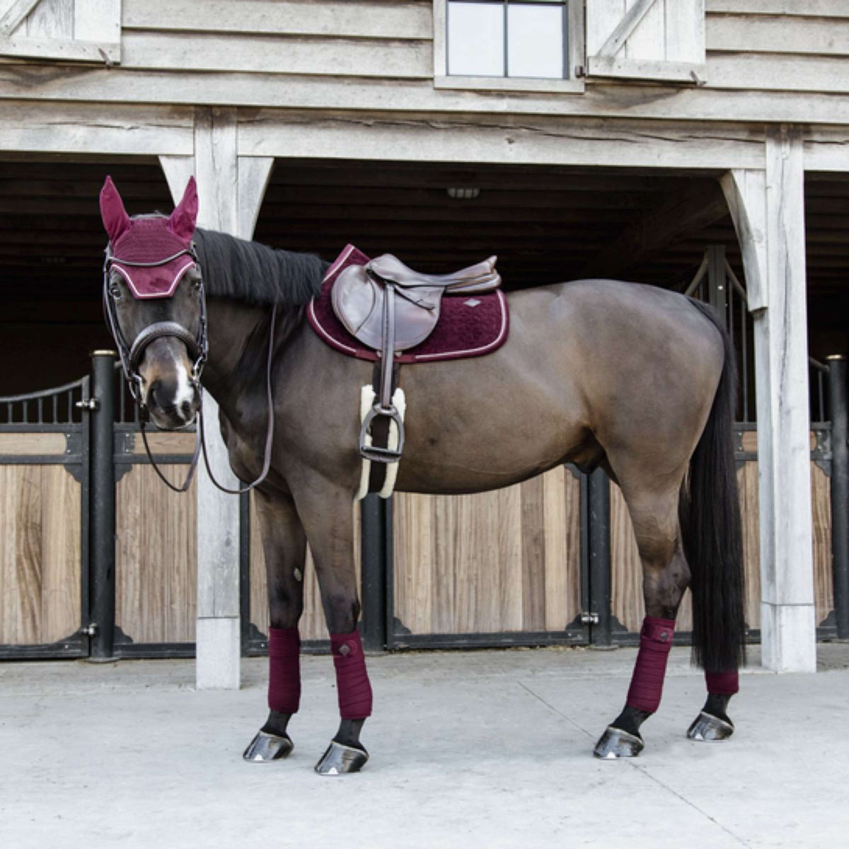 Kentucky Horsewear Schabracke Velvet Springen Bordeaux