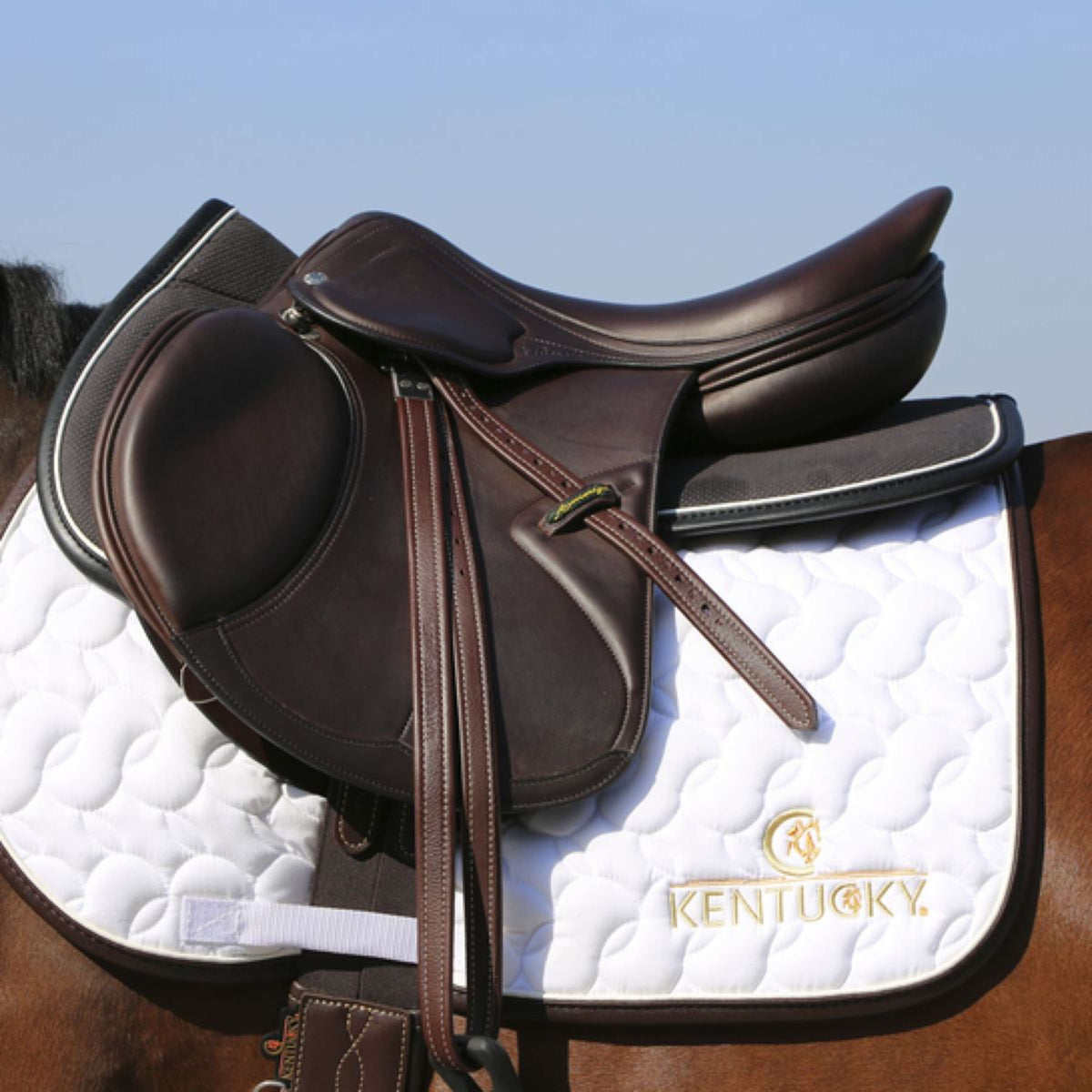 Kentucky Sattelunterleger Halfpad Anatomic Absorb Schwarz