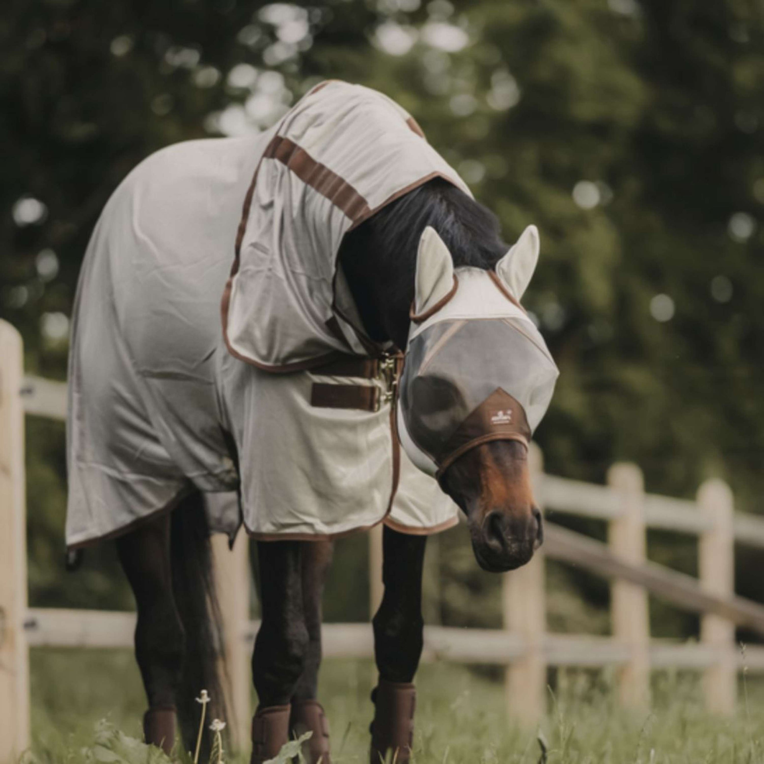 Kentucky Fliegendecke Classic Silber Kentucky Fliegendecke Classic Silber