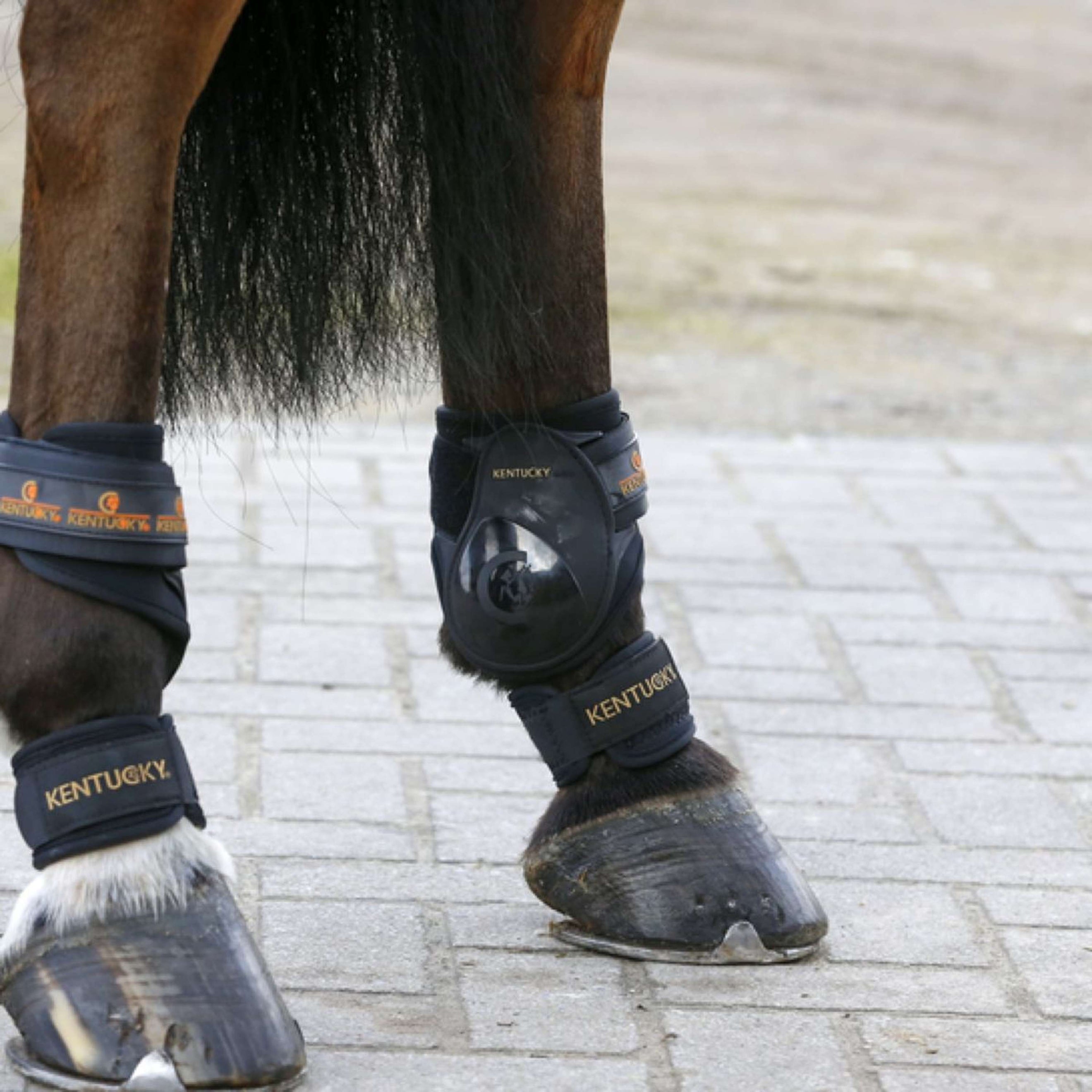 Kentucky Horsewear Fesselschutz Pastern Kentucky Horsewear Fesselschutz Pastern