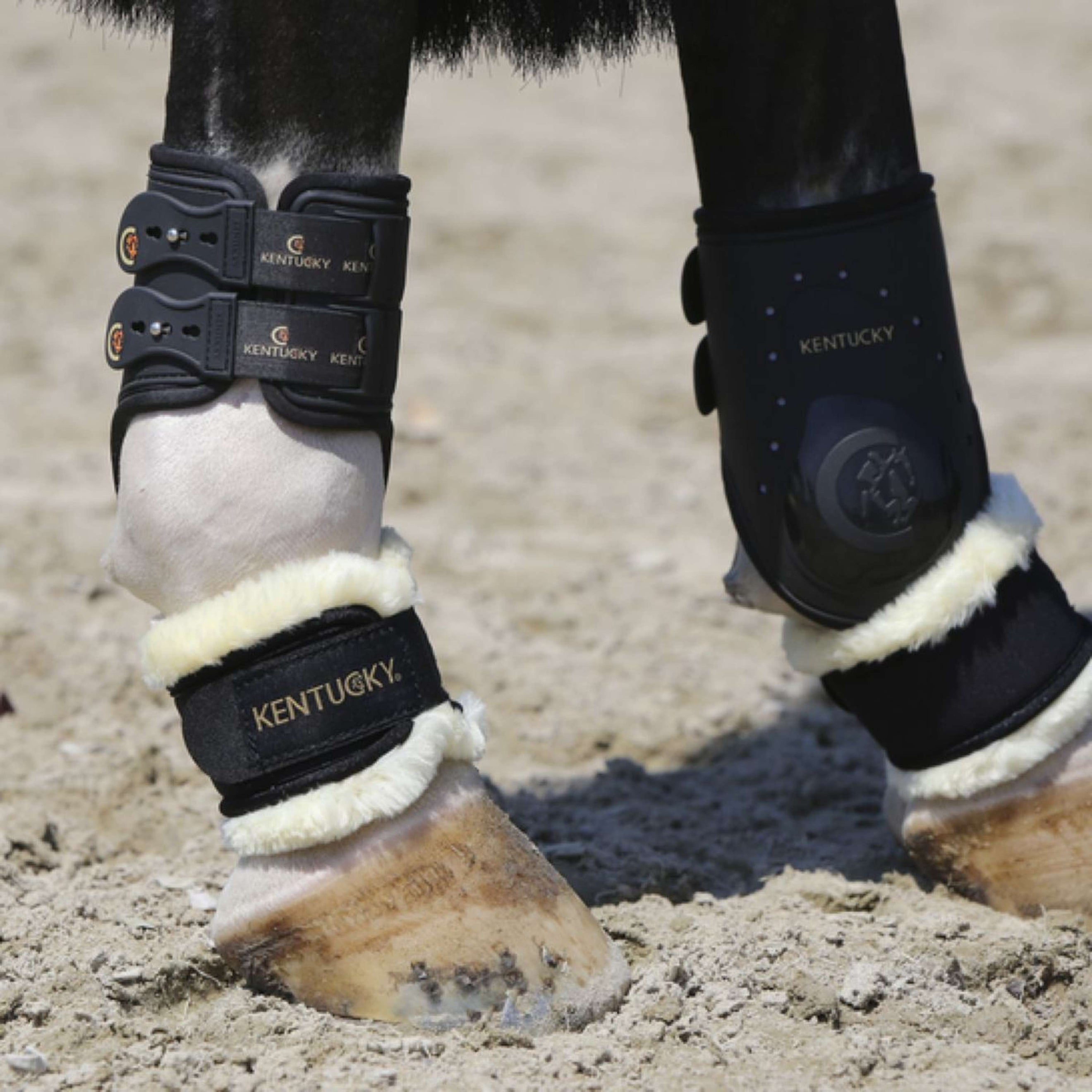 Kentucky Horsewear Fesselschutz Pastern Sheepskin Kentucky Horsewear Fesselschutz Pastern Sheepskin