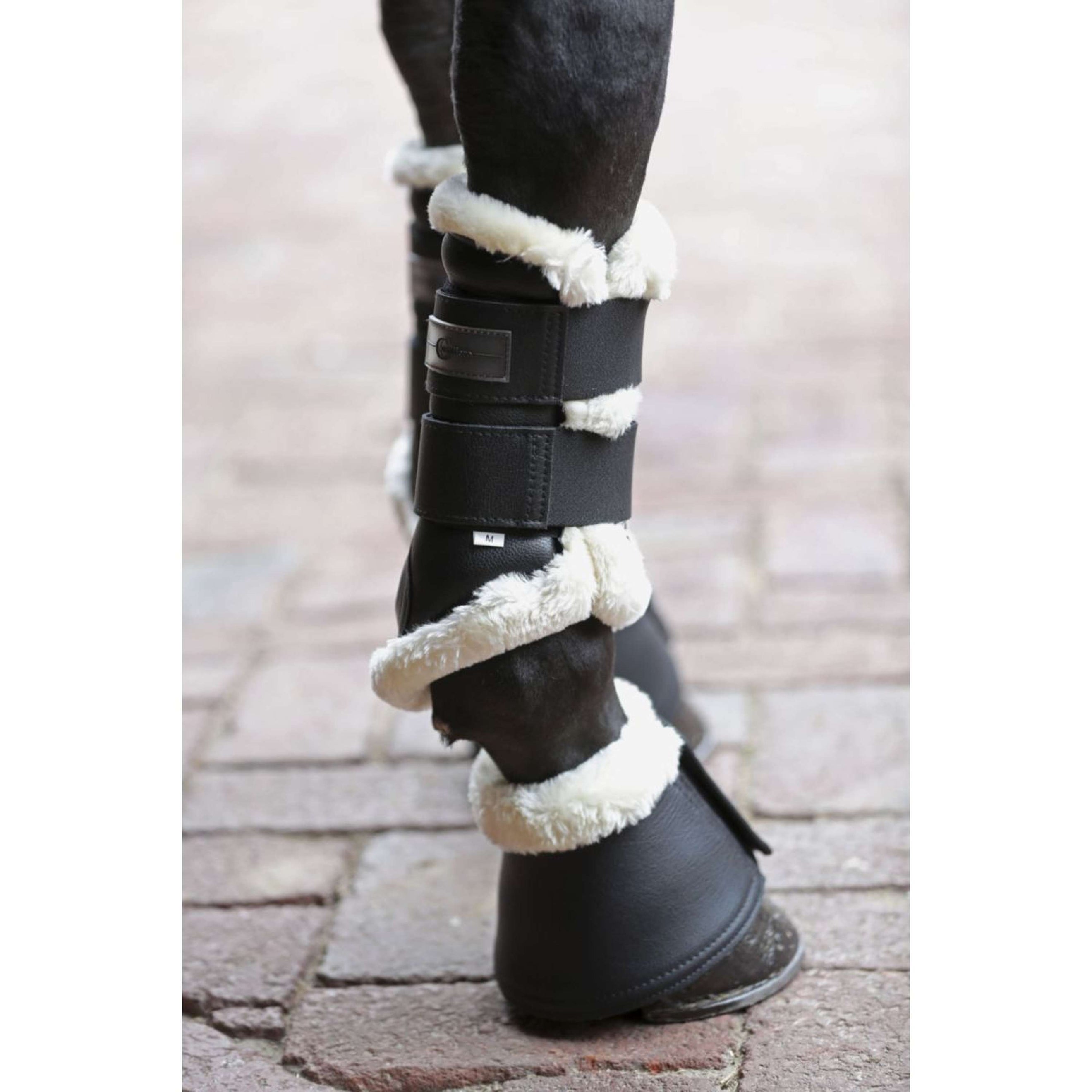 Covalliero Dressurstiefel Pelisa Schwarz Covalliero Dressurstiefel Pelisa Schwarz