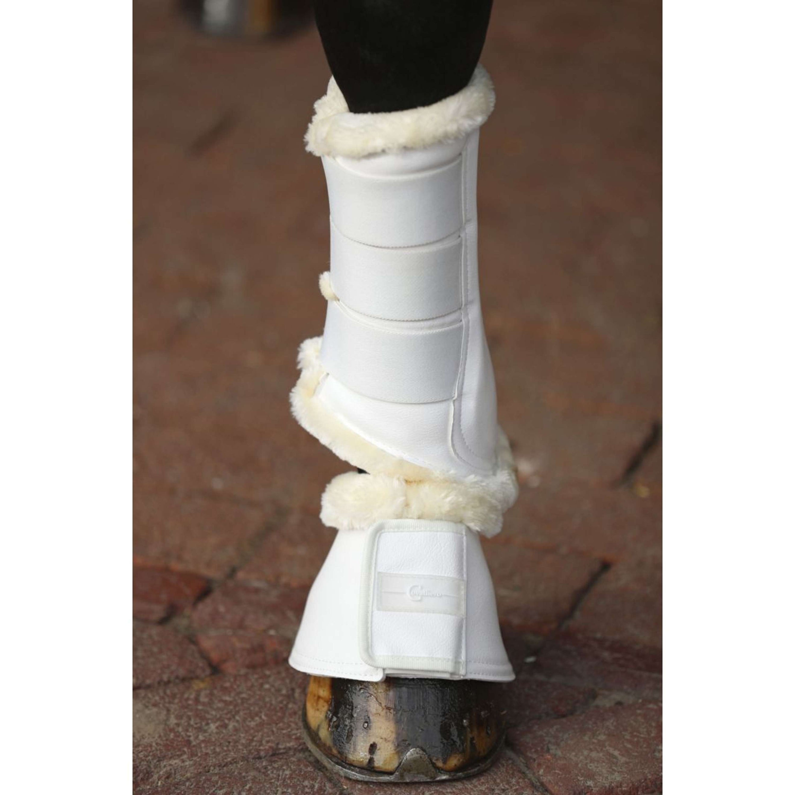 Covalliero Dressurstiefel Pelisa Weiß Covalliero Dressurstiefel Pelisa Weiß
