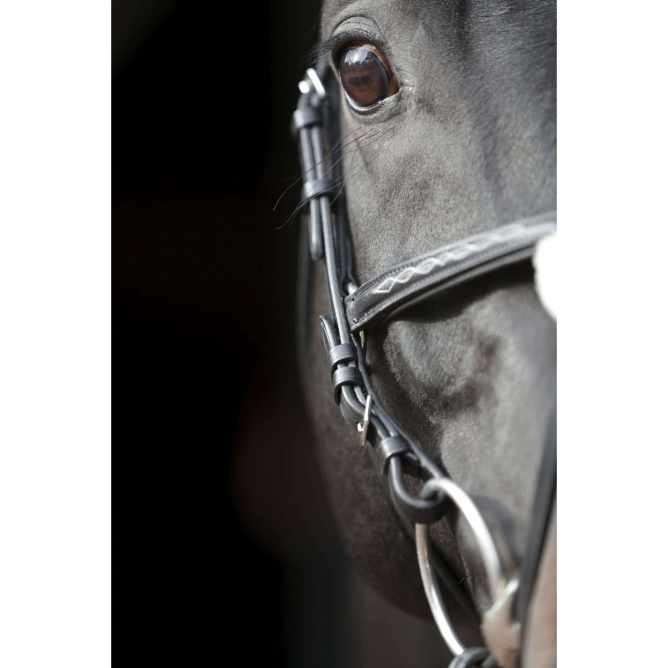 Kerbl Trense Cancun Schwarz Kerbl Trense Cancun Schwarz