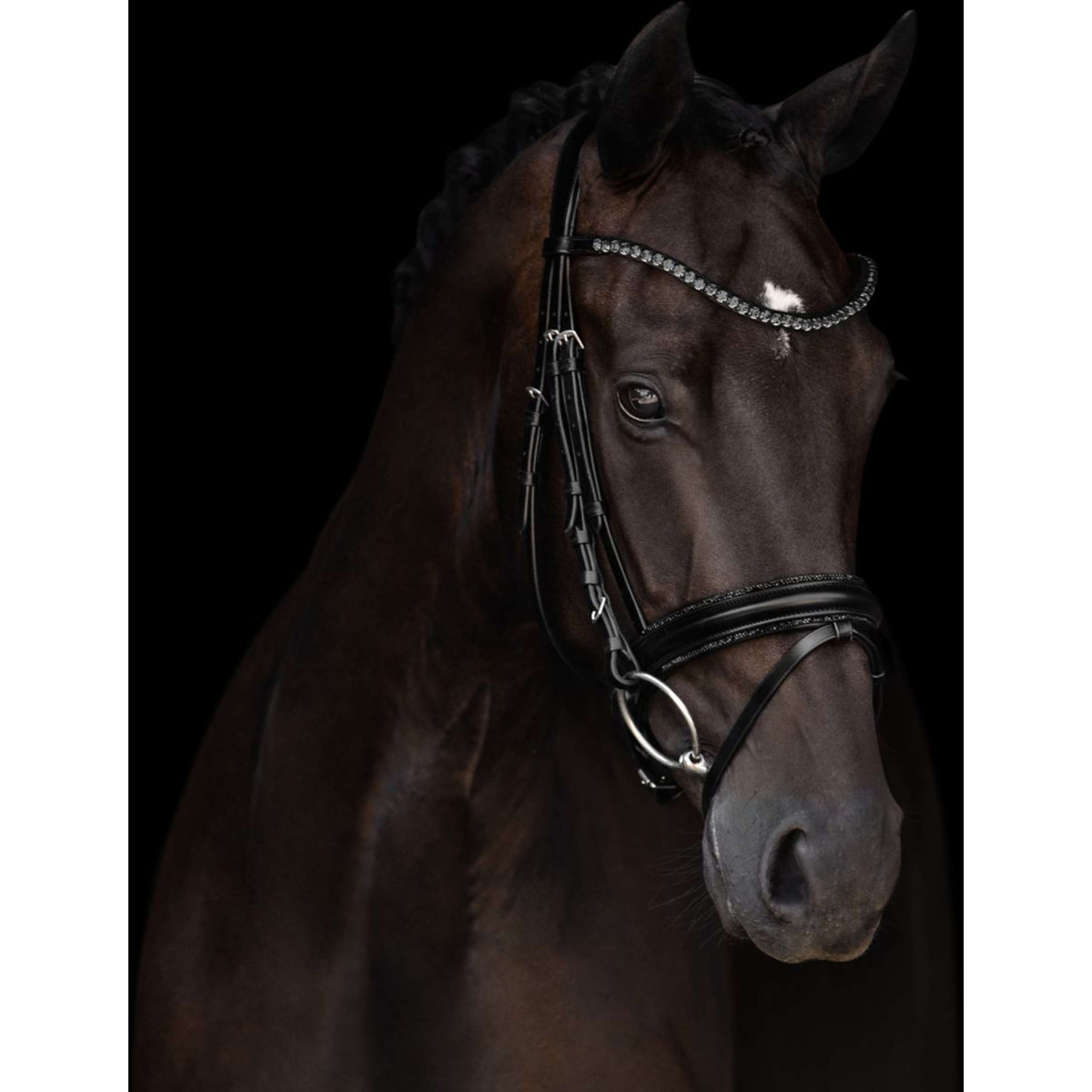 Kieffer Zaum Grace Schwarz Kieffer Zaum Grace Schwarz