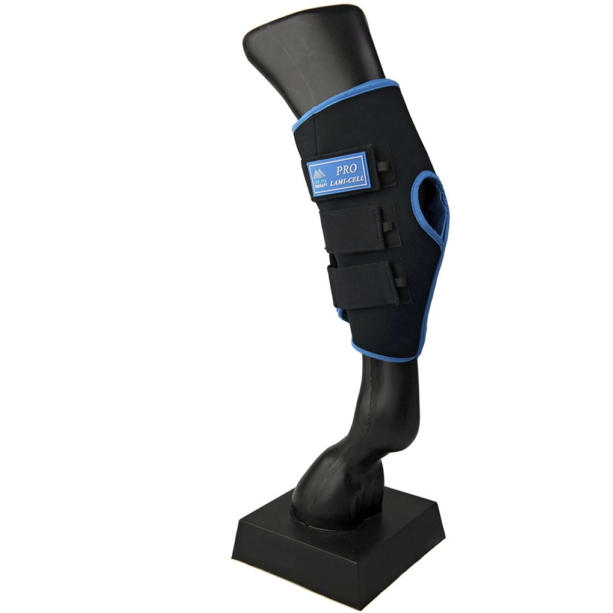 Lami-Cell Ice Boots für das Sprunggelenk Schwarz/Blau