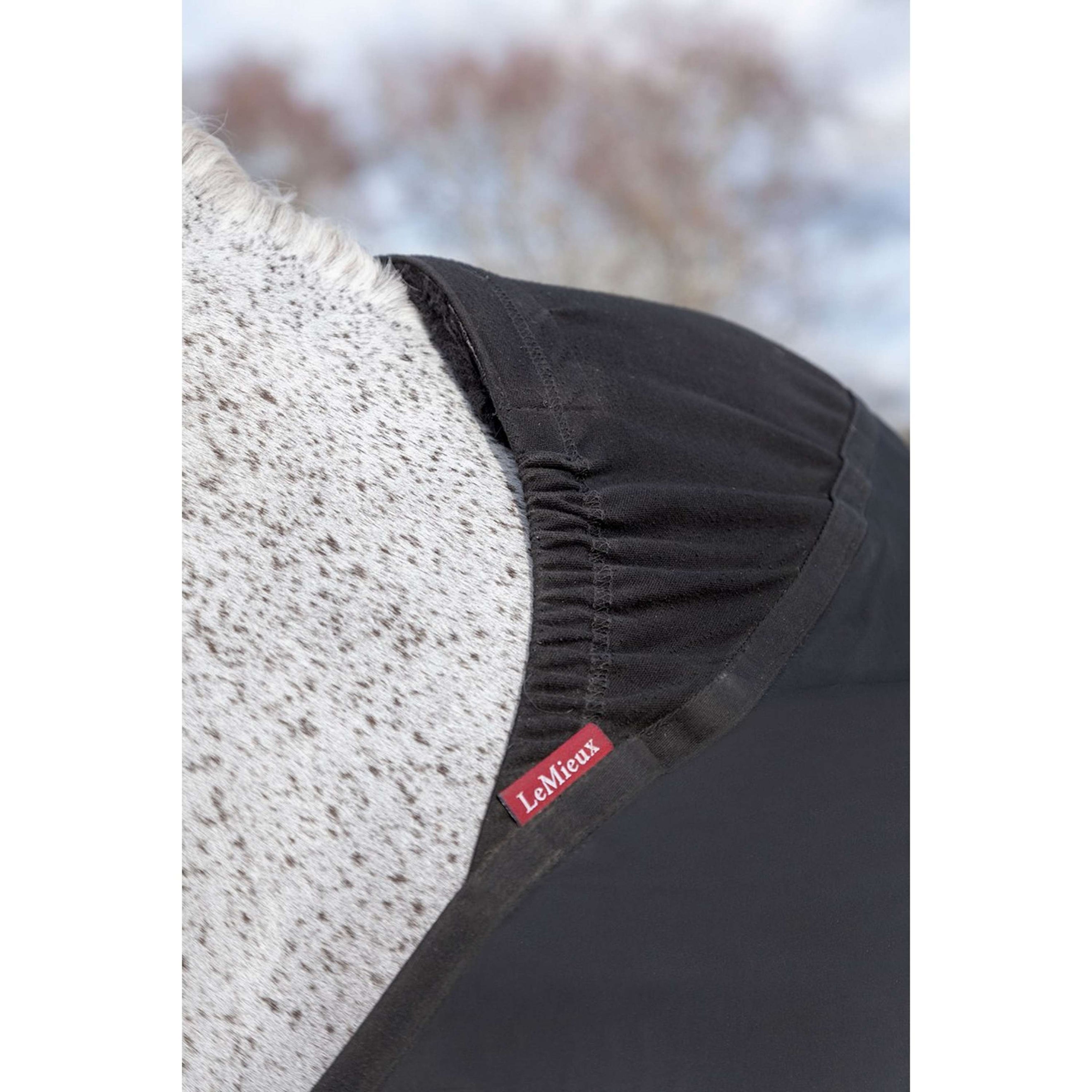 LeMieux Brustschutz Bib Schwarz LeMieux Brustschutz Bib Schwarz
