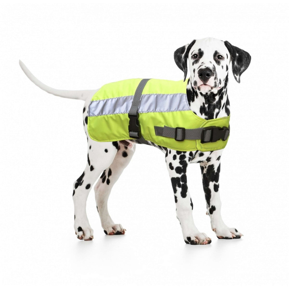 Duvo+ Flectalon Hi Vis Hundejacke Gelb