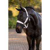 LeMieux Halfter Versailles Lila