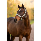 LeMieux Halfter Essence Rosemary