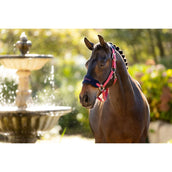 LeMieux Halfterset Vogue Cranberry