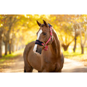 LeMieux Halfterset Vogue Cranberry