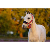 LeMieux Halfterset Mini Vogue Cranberry