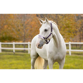 LeMieux Halfterset Vogue Juniper