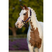 LeMieux Halfterset Mini Vogue Juniper