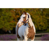 LeMieux Halfterset Mini Vogue Juniper