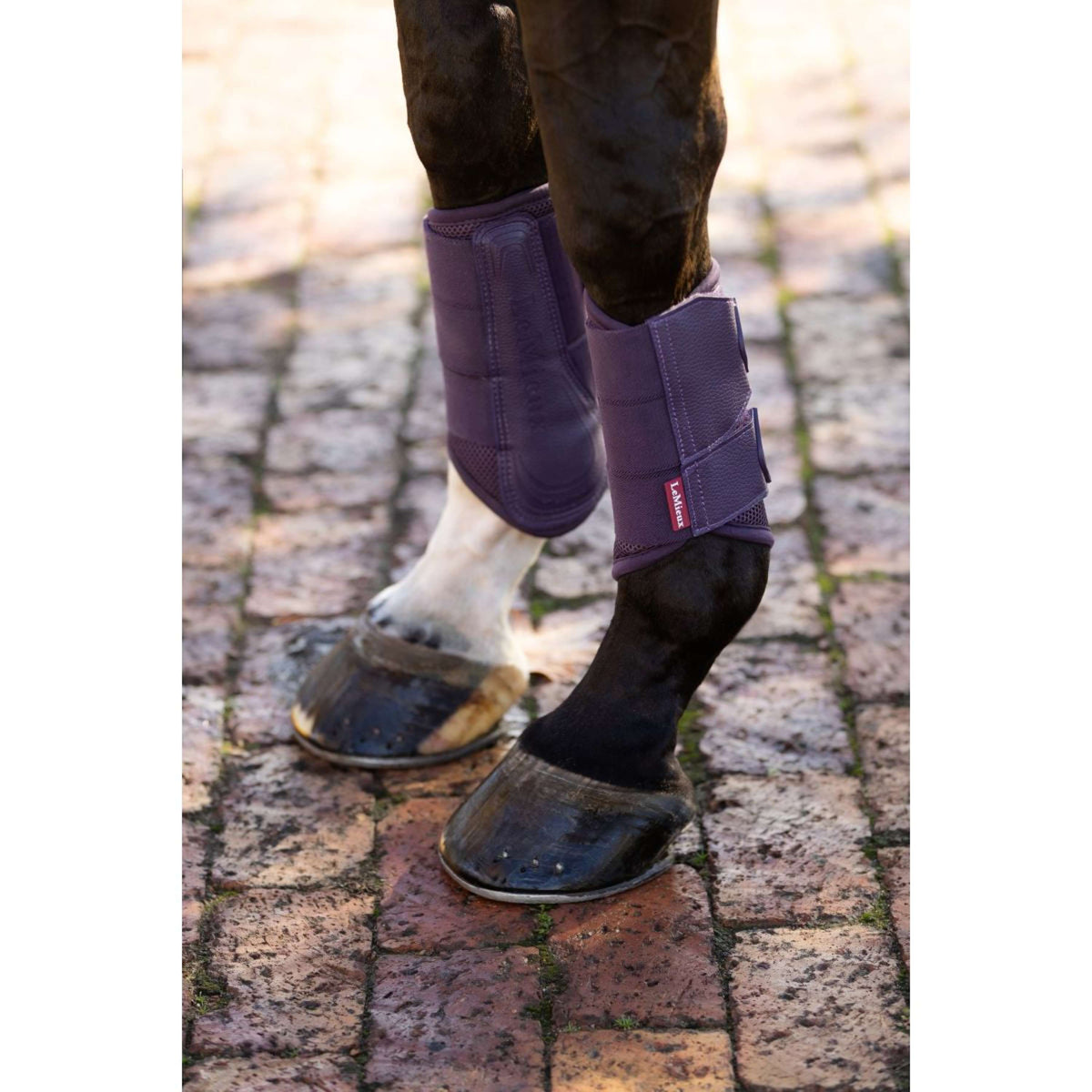 LeMieux Fesselkopfgamaschen Arika Mesh Juniper