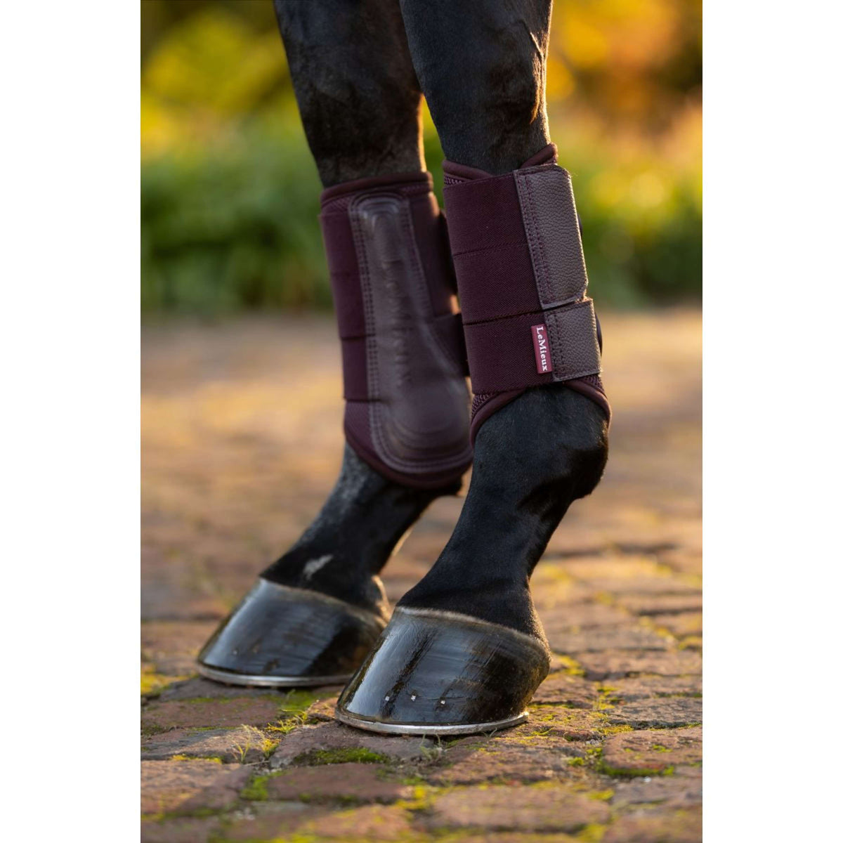 LeMieux Fesselkopfgamaschen Arika Mesh Damaszenerpflaume