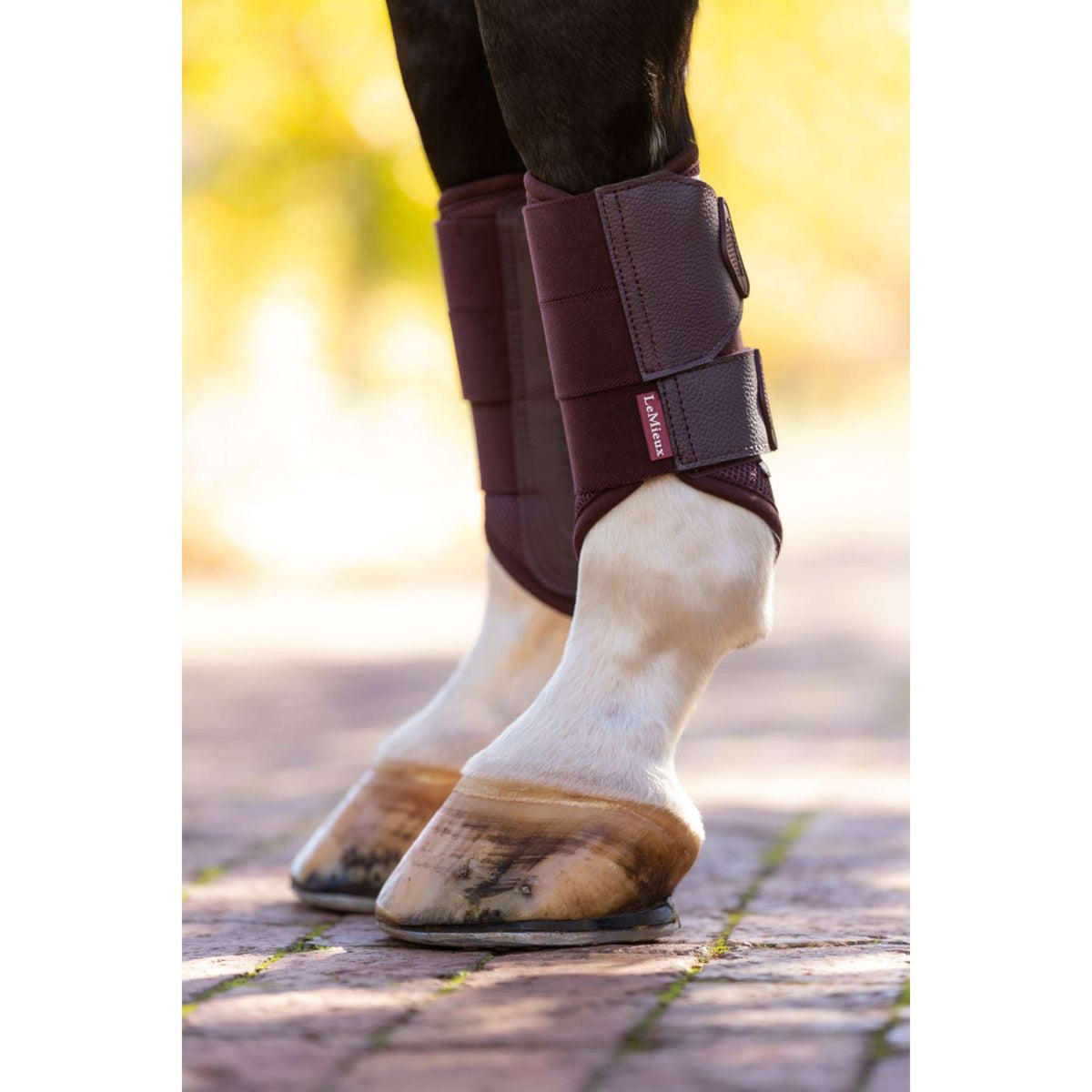 LeMieux Fesselkopfgamaschen Arika Mesh Damaszenerpflaume