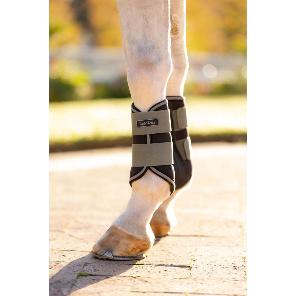 LeMieux Fesselkopfgamaschen Grafter Rosemary