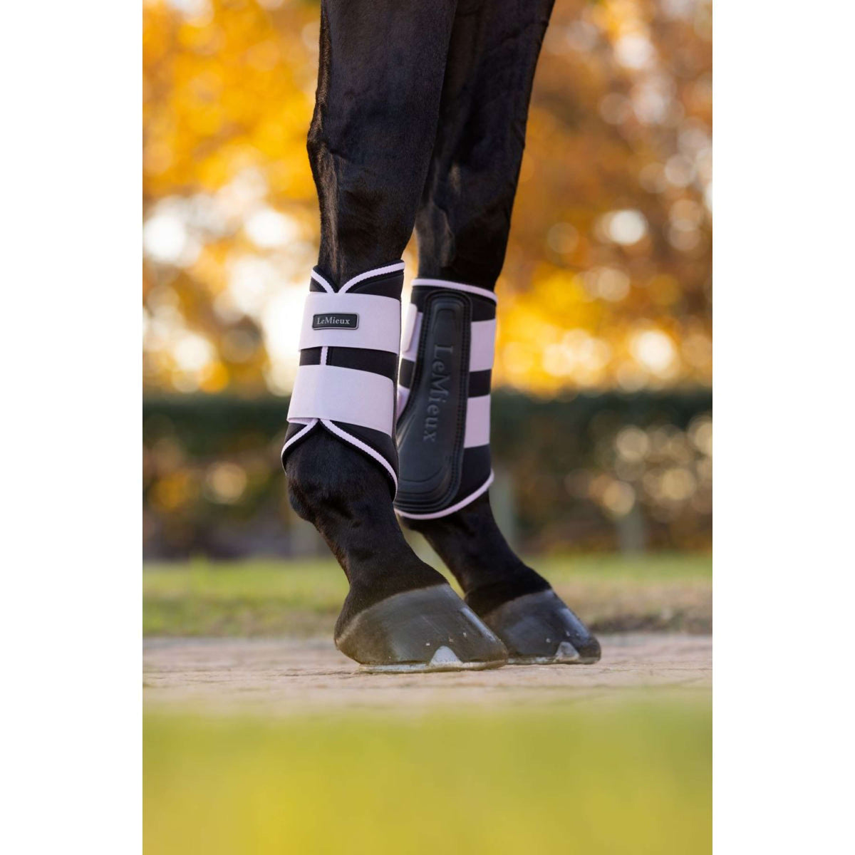 LeMieux Fesselkopfgamaschen Grafter Lila