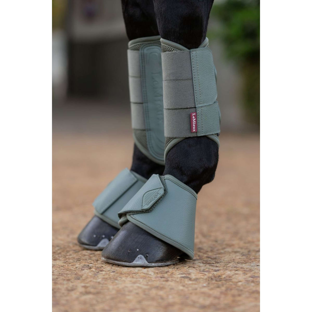 LeMieux Hufglocken Arika Rosemary