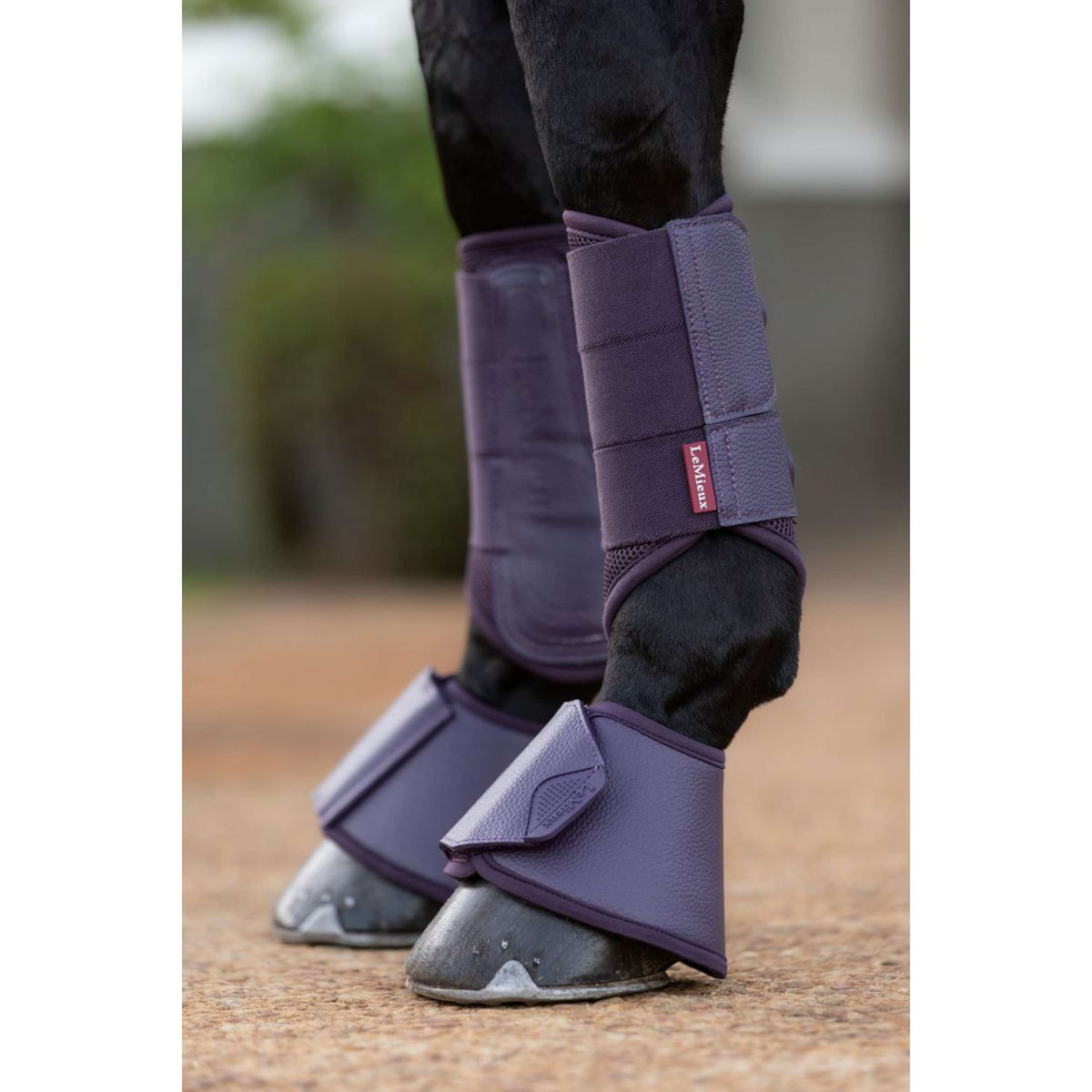 LeMieux Hufglocken Arika Juniper