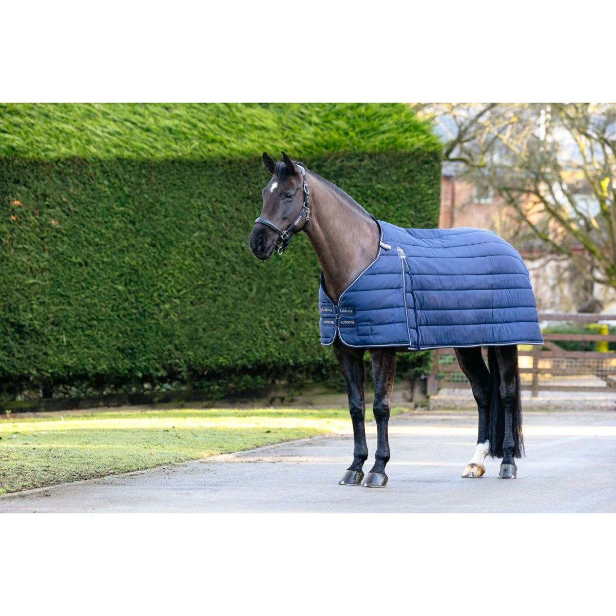 LeMieux Liner Kudos 200g Navy