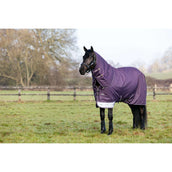 LeMieux Outdoordecke Arika Ripstop 100g Juniper