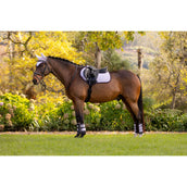 LeMieux Schabracke Suede Springen Lila