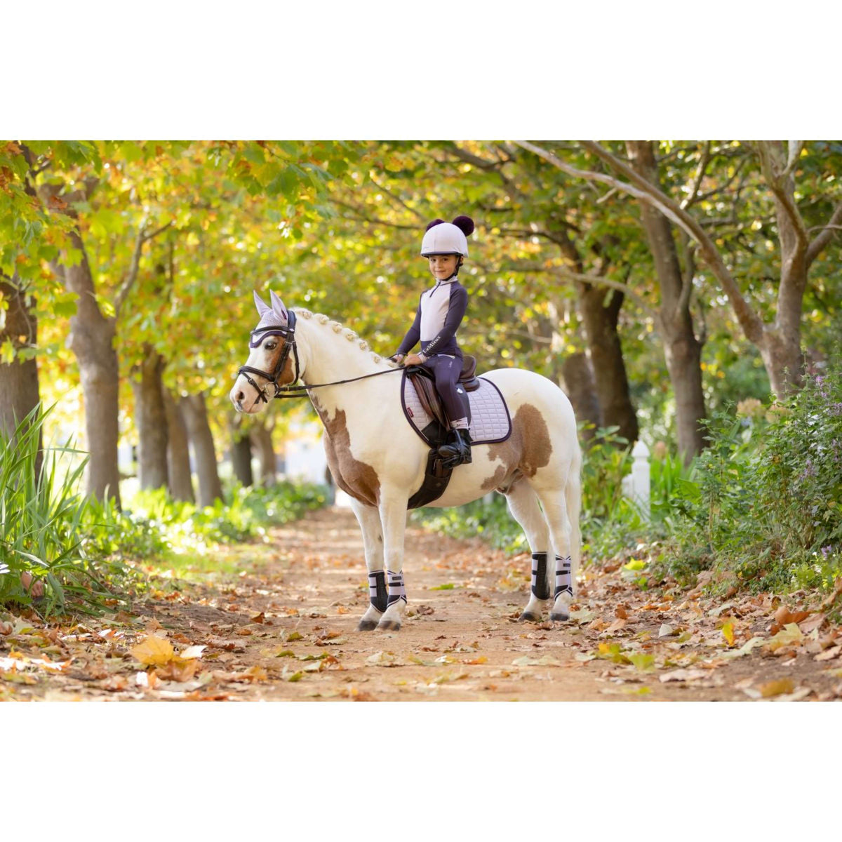 LeMieux Schabracke Suede Springen Lila