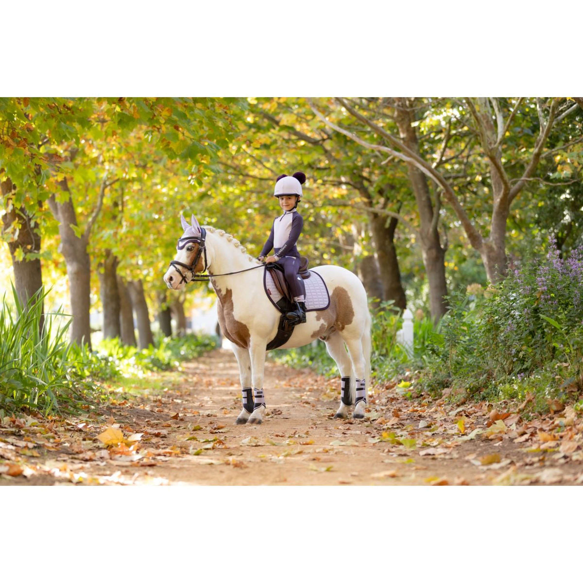 LeMieux Schabracke Suede Springen Lila