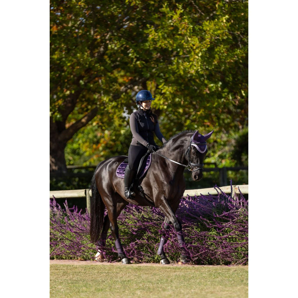 LeMieux Schabracke Merino Loire Classic Springen Juniper