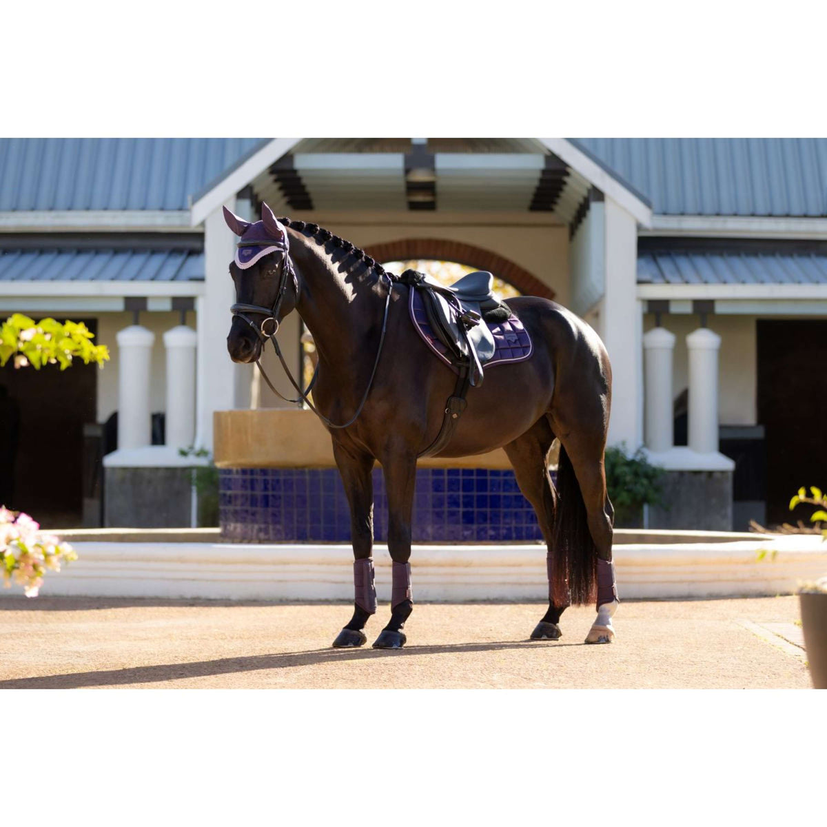 LeMieux Schabracke Merino Loire Classic Springen Juniper