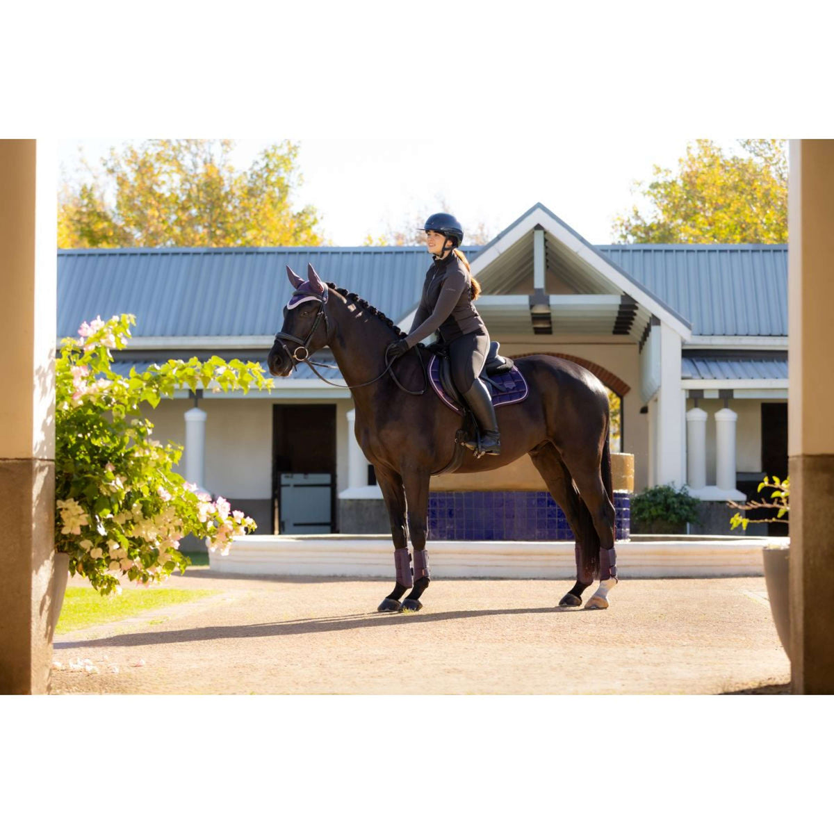 LeMieux Schabracke Merino Loire Classic Springen Juniper