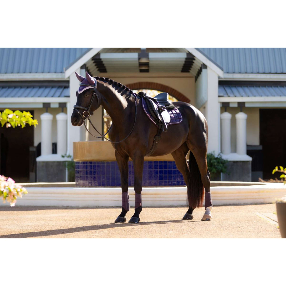 LeMieux Schabracke Merino Loire Classic Springen Juniper