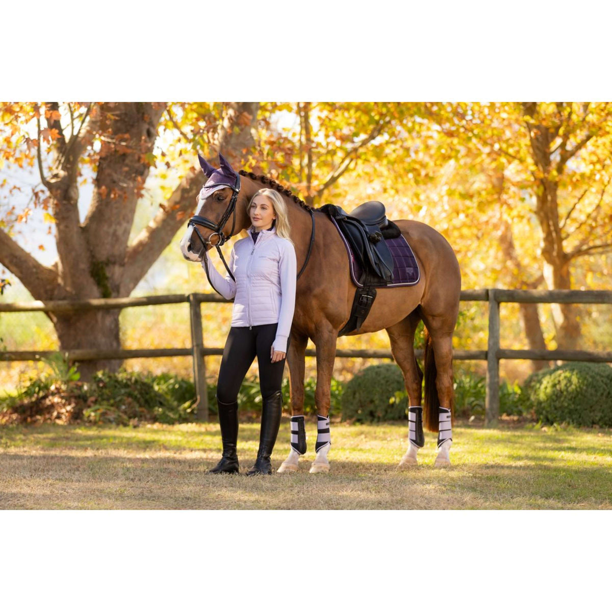 LeMieux Schabracke Merino Loire Classic Dressur Juniper