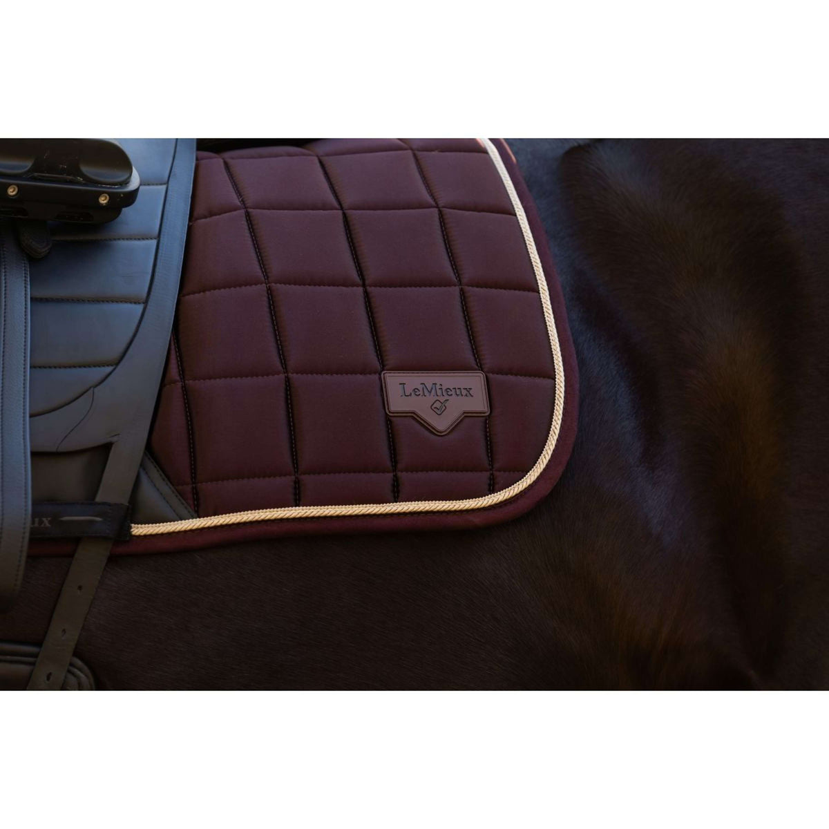 LeMieux Schabracke Loire Classic Dressur Damaszenerpflaume