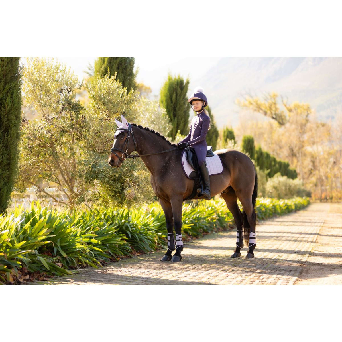 LeMieux Schabracke Suede Vielseitigkeit Lila